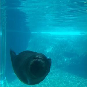 Meet your Posher, Lilly